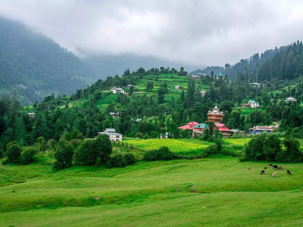 Morni Hills Tour Package
