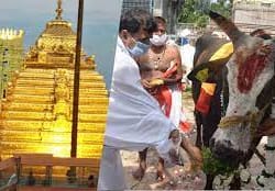Srisailam & Malikarjun Jyotrilinga Darshan Package