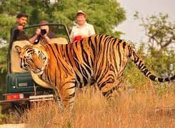 Golden Triangle Tour with Ranthambore