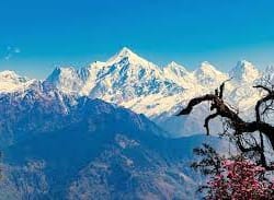 Kumaon Hill Station Tour