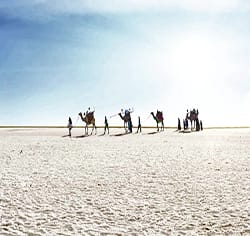 Budget Tour To Kutch