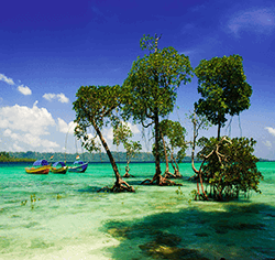 Andaman Holiday Packages