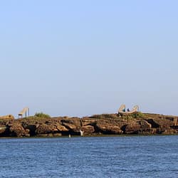 Gujarat With Diu Pilgrimage
