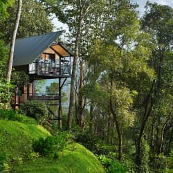 Best of Kerala with Treehouse Stay