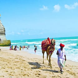 Somnath Gir Dwarka Package