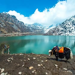 Darjeeling Tour Package