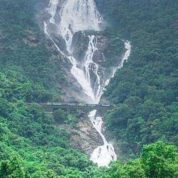 Coorg Group Tour Package