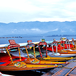 Kashmir Tour Package from Kochi