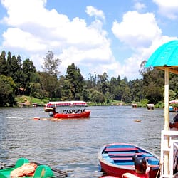 Ooty Honeymoon Tour Packages