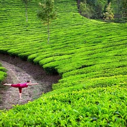 Assam Tour Packages from Bangalore