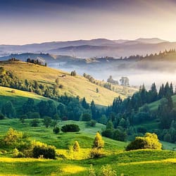 Kodaikanal Family Tour Packages