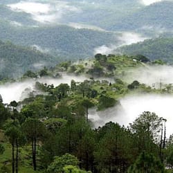 Lansdowne Trip Package from Delhi