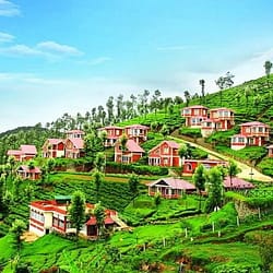 Honeymoon Packages for Ooty