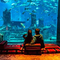 Dubai Honeymoon Package