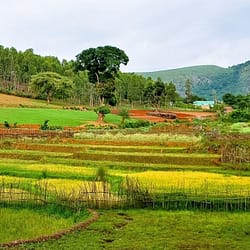 Vizag Local Tour Packages