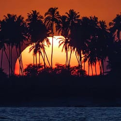Konaseema Tourism Package