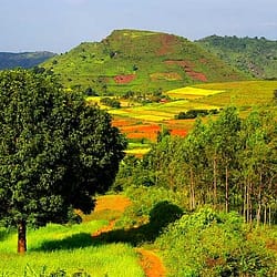 Vizag Tour Package for 7 Days
