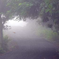 Lambasingi Tour Package
