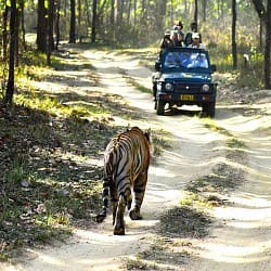 Trip to Manas National Park