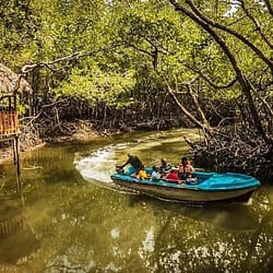 Baratang Island Family Trip