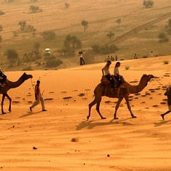 Desert National Park Tour Package