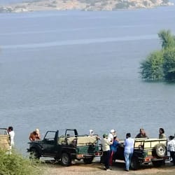 Jawai Bandh Tour Package