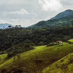Mayiladuthurai Tour