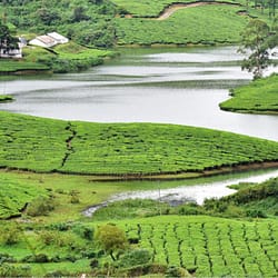 Theni Tour Package