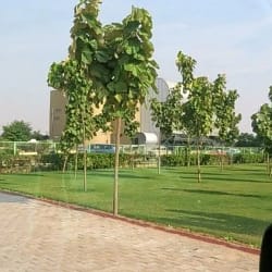 One Day Trip to Manesar