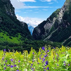 Nanda Devi National Park Tour Package