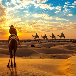Desert Safari in Rajasthan