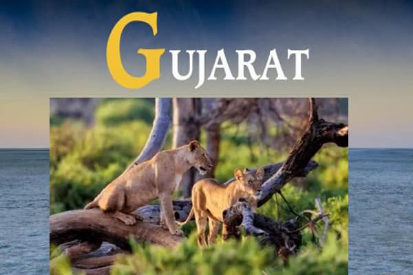 Gujarat Tour Packages from Amritsar